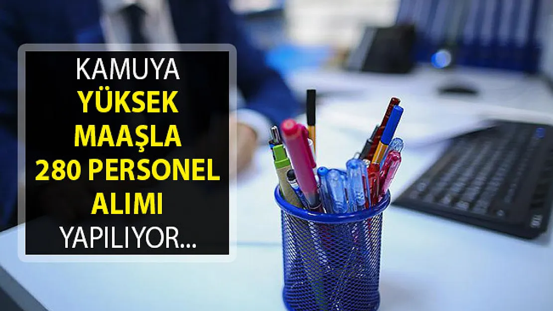 DPB'de İlanlar Yayımlandı- Kamuya Yüksek Maaşla 280 Personel Alımı- 2019 Personel Alımı