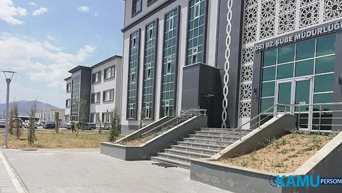 DSİ Bahçesindeki Çam Fidanları Susuzluktan Kurudu