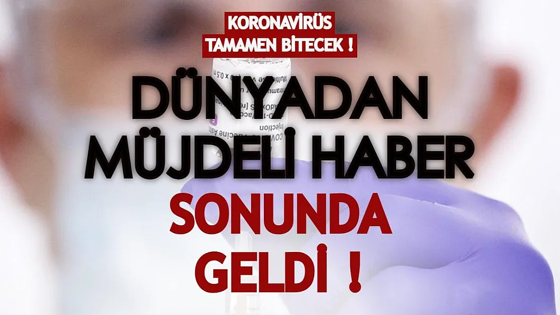 Dünyadan müjdeli haber sonunda verildi! Koronavirüsü tamamen bitirecek