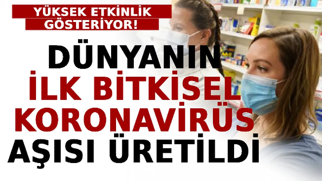 Dünyanın İlk Bitkisel Koronavirüs Aşısı Üretildi: Yüksek Etkinlik Gösterdiği Açıklandı
