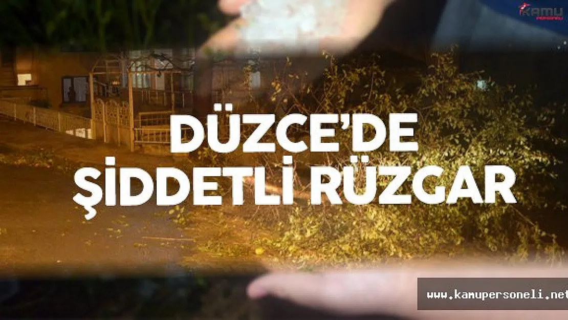 Düzce'de Ağaçlar Devrildi ! Çatılar Uçtu !
