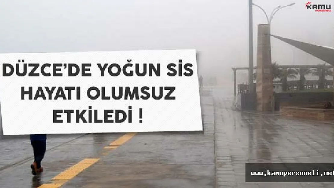 Düzce'de Yoğun Sis Yaşamı Olumsuz Etkiliyor