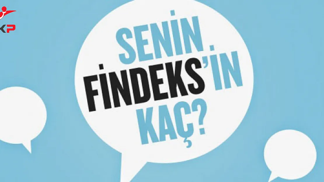 E Devlet Ücretsiz Findeks Kredi Notu Sorgulama Nereden Öğrenilir?