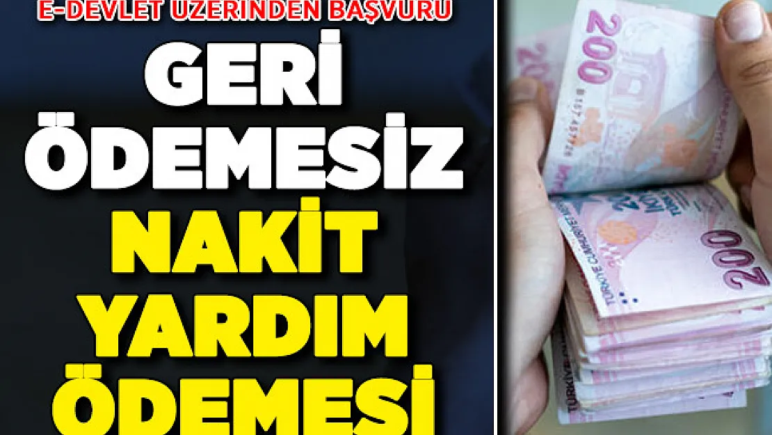 e-Devlet Üzerinden Başvuru ! Devlet Geri Ödemesiz Nakit Yardımı Yapıyor