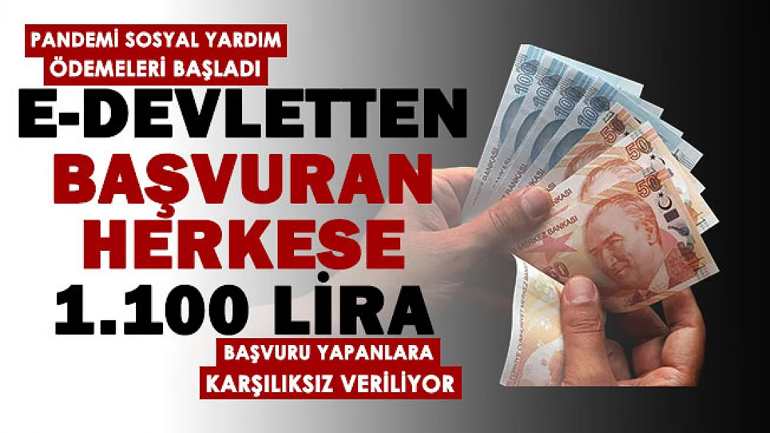 e-Devlet üzerinden başvuru yapan herkese 1.100 TL veriliyor! Pandemi sosyal yardım kampanyası yeniden başlatıldı