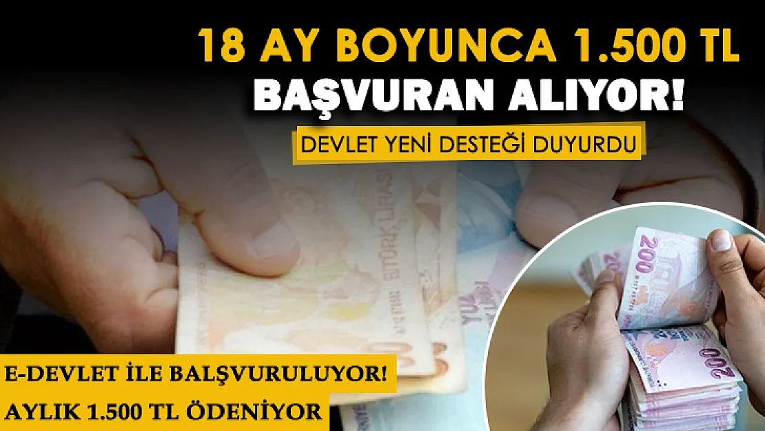 e-Devlet üzerinden başvuru yapan vatandaşlara yeni destek veriliyor! Geçim sıkıntısı çekenlere 18 ay boyunca 1.500 lira verilecek