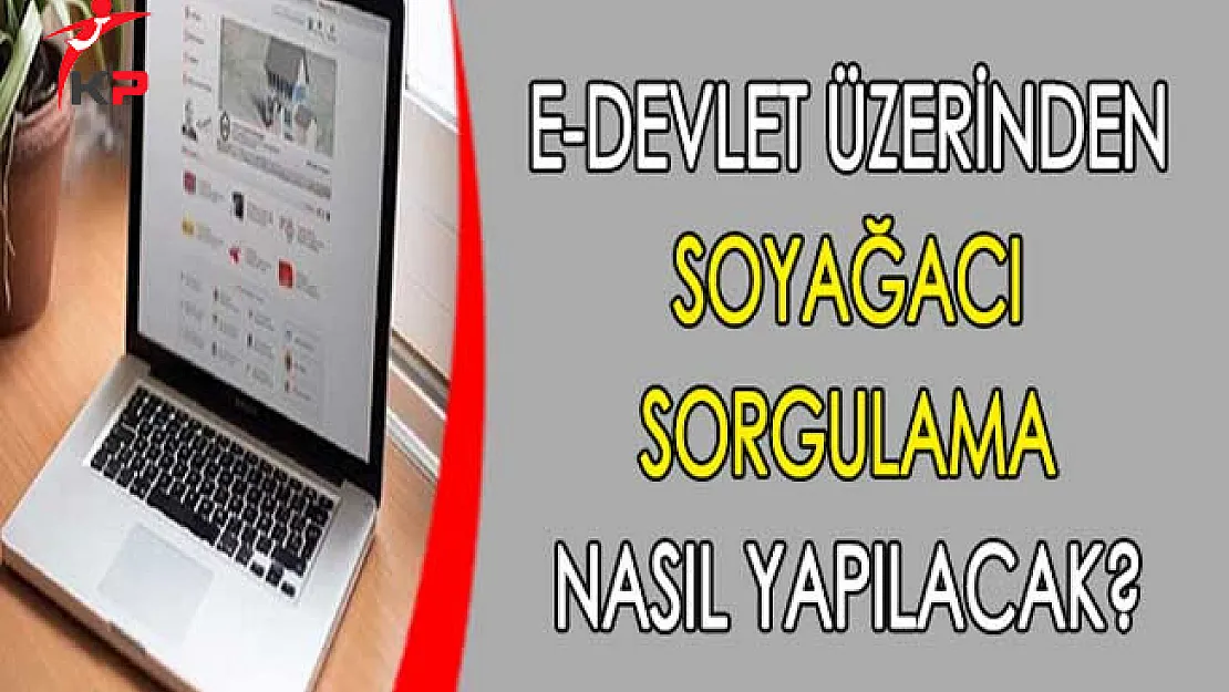 e-Devlet üzerinden Soyağacı Sorgulama Nasıl Yapılır?