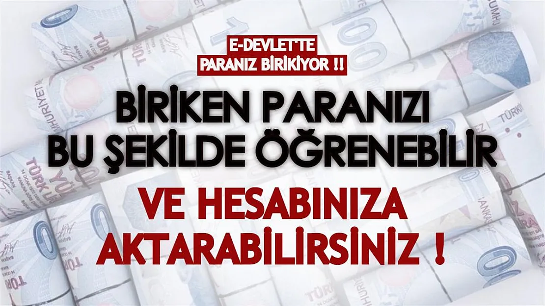 e-Devlet'te paranız birikiyor! Biriken paranızı bu şekilde öğrenebilir ve hesabınıza yatırabilirsiniz