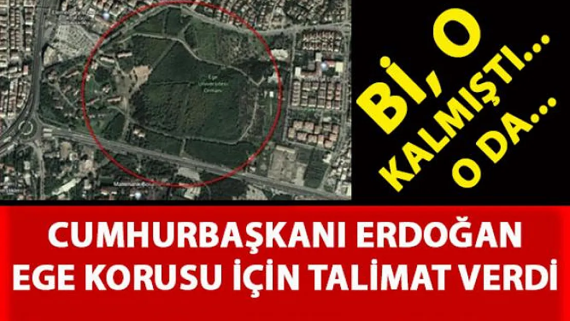 Ege Üniversitesi korusu hakkında Cumhurbaşkanı Erdoğan Talimat Verdi