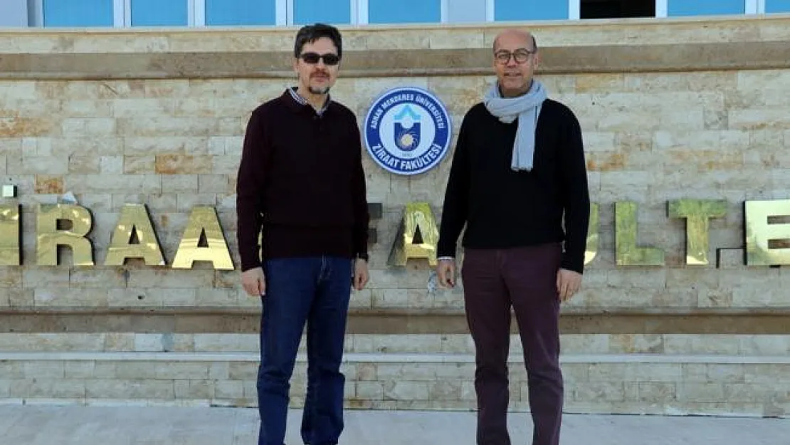 Ege'de taşkın yaşanan topraklarda verim kaygısı