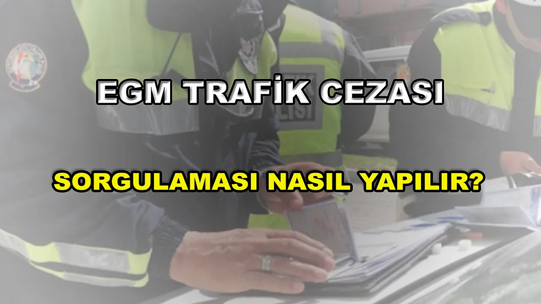 EGM Trafik Cezası Sorgulama Nasıl Yapılır?