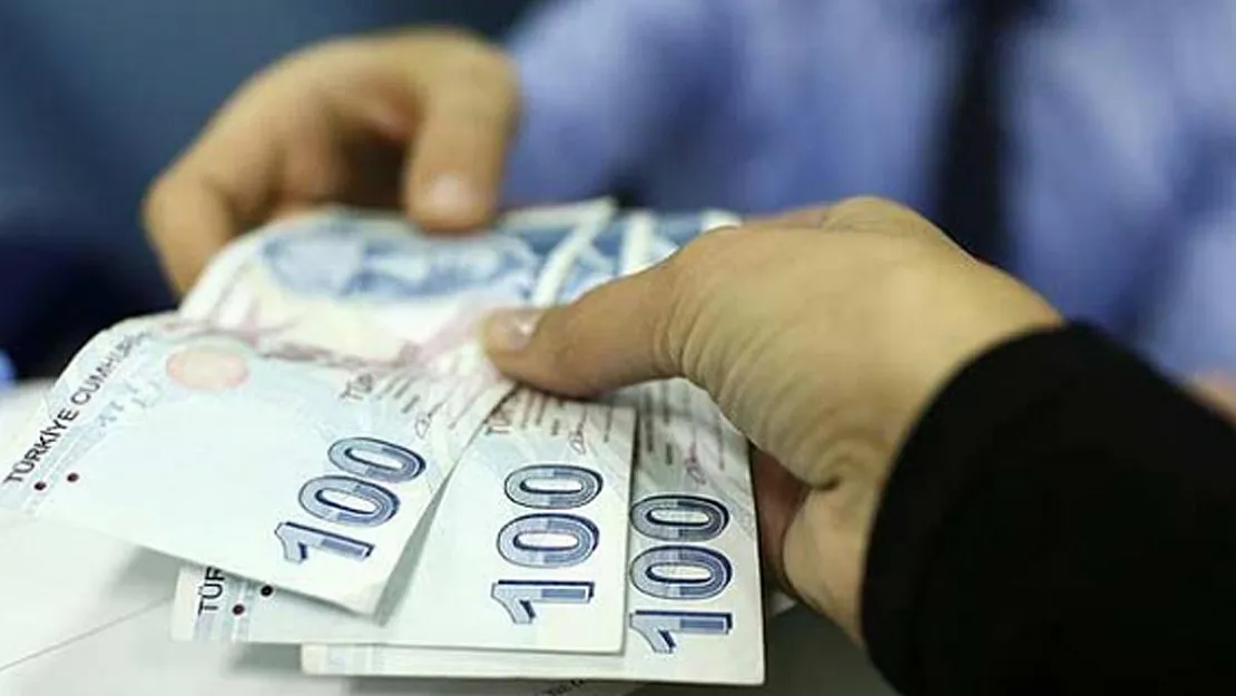 Ek gelir isteyenler için güzel haber: Devlet tane başına 5 TL ödeme yapıyor!