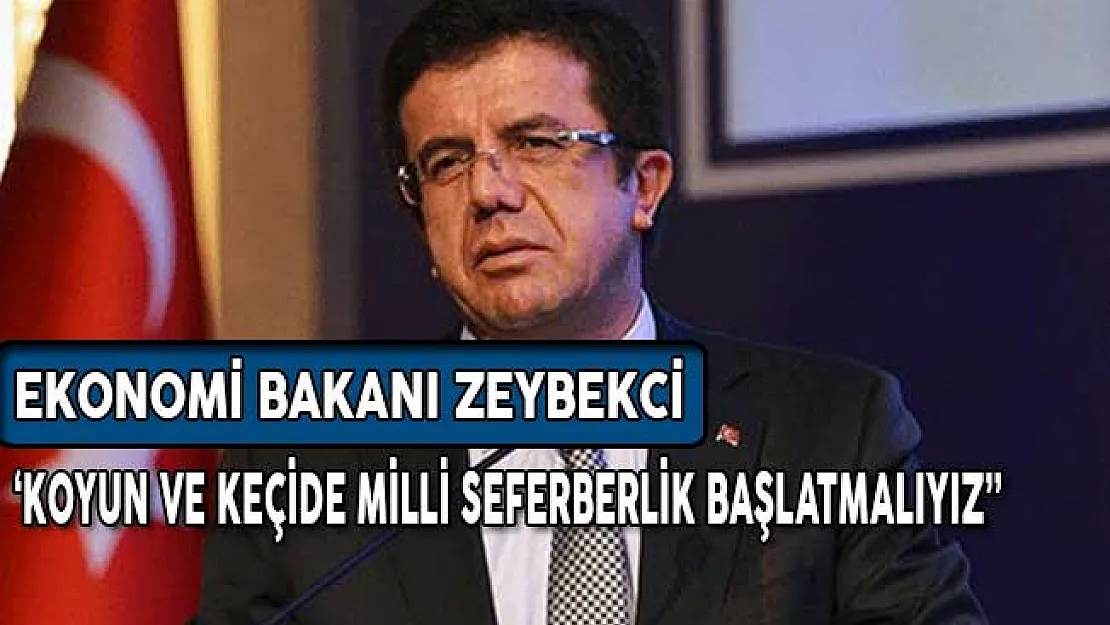 Ekonomi Bakanı Zeybekci: Koyun ve Keçi'de Milli Seferberlik Başlatmamız Gerekiyor