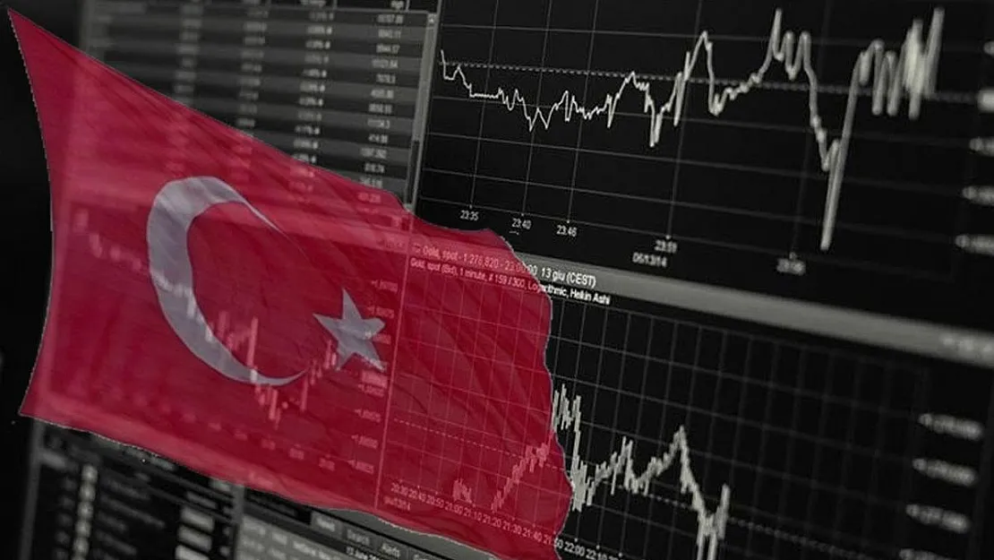 Ekonomi Profesörü Türkiye Ekonomisini Değerlendirdi: Sınırda Yer Alıyor, Çok Hasar Alabilir!