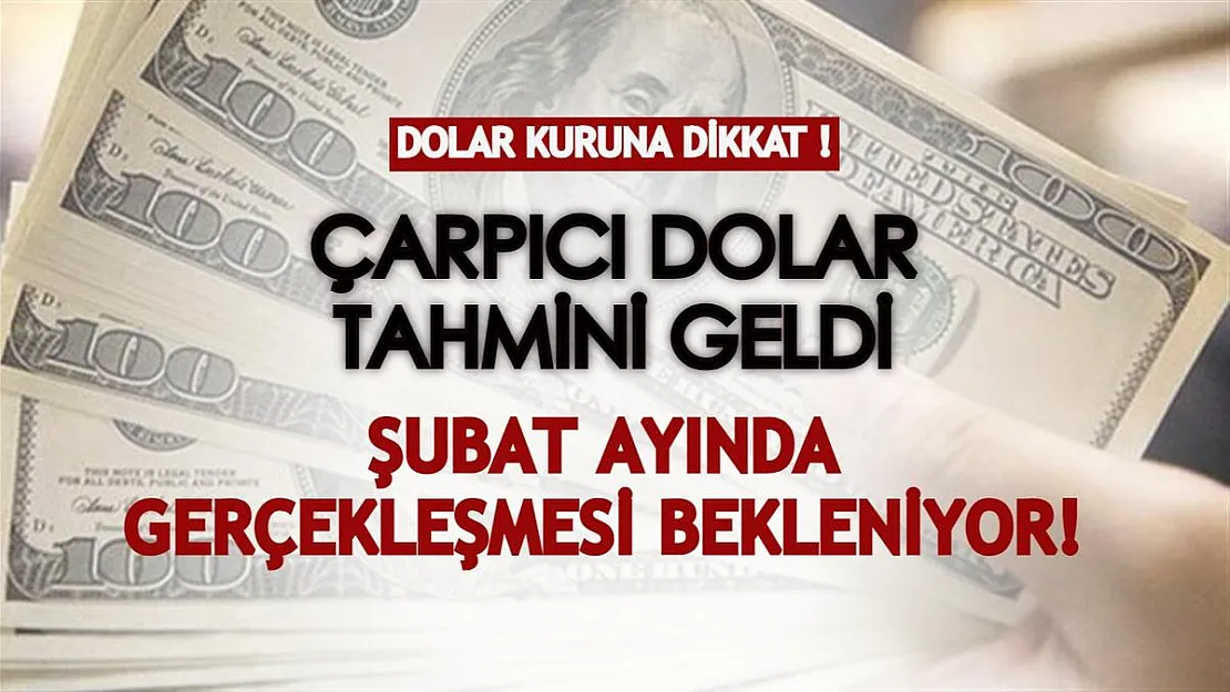 Ekonomistten çarpıcı dolar tahmini! Şubat ayında gerçekleşmesi bekleniyor