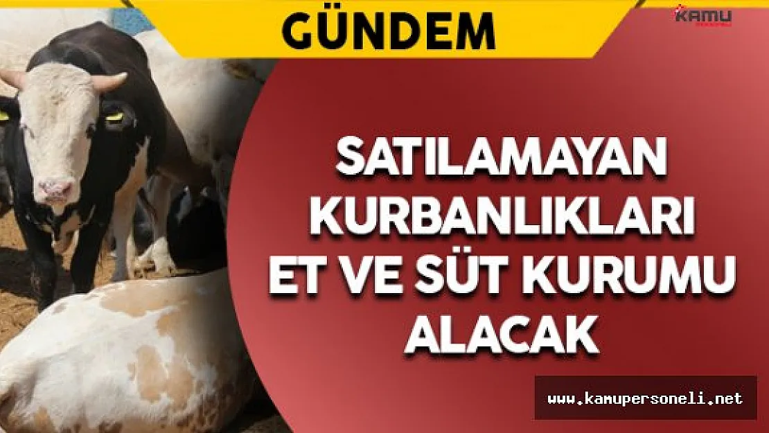 Elde Kalan Kurbanlıkları ESK Alacak