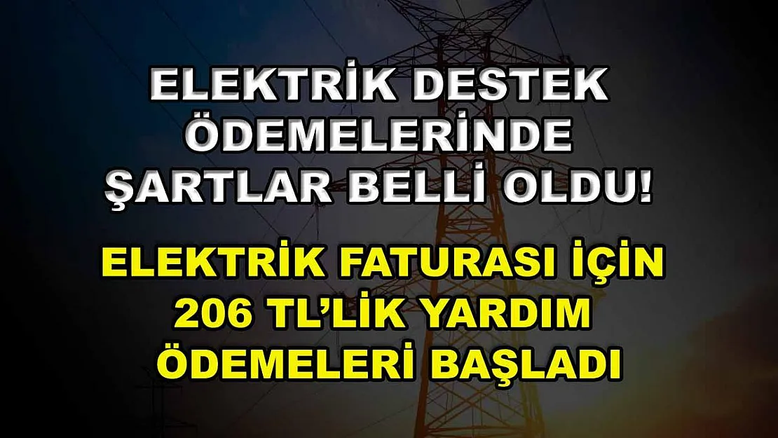 Elektrik destek ödemelerinde şartlar belli oldu! Elektrik faturası için 206 TL'lik yardım ödemeleri başladı