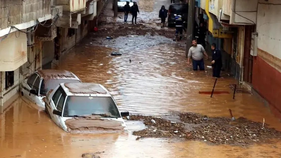 Elinden tutmak yerine videoya kaydetti! Selde canıyla uğraşan adam tıklanma kurbanı oldu!