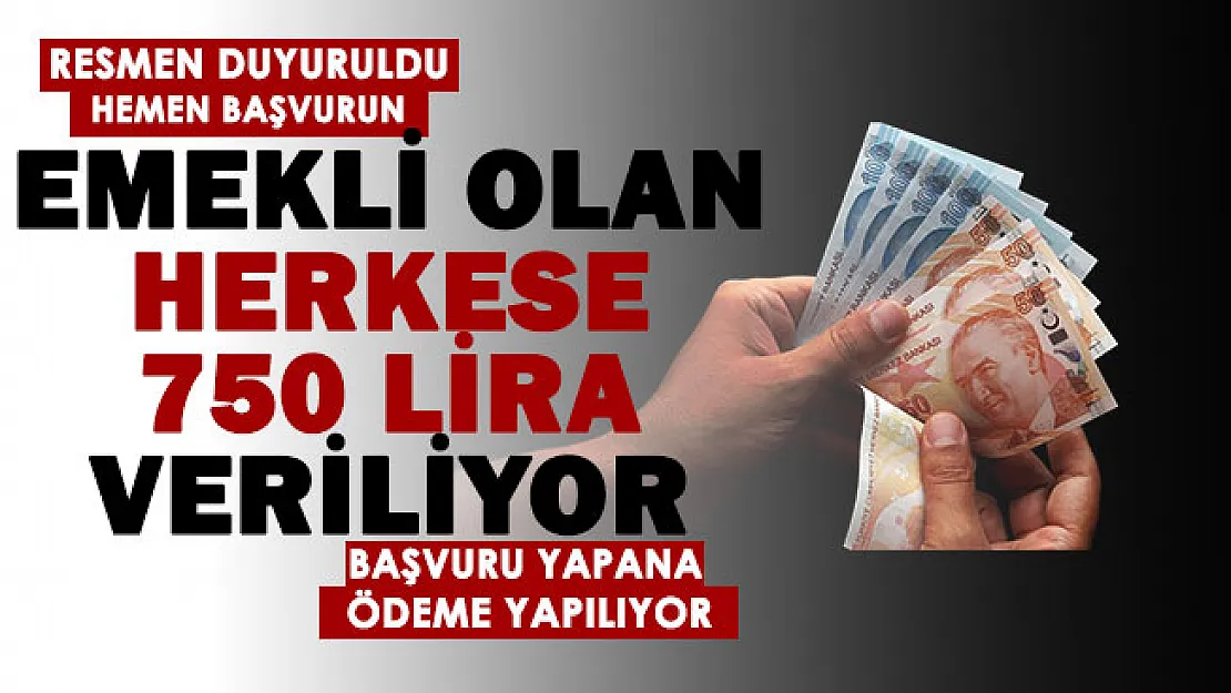 Emekli maaşı alan vatandaşlara para veriliyor! Başvuru yapan tüm emeklilere 750 lira verilecek