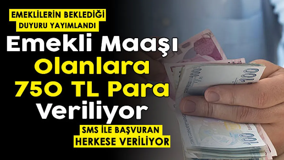 Emekli maaşı olan herkese 750 lira veriliyor! SMS ile başvuran tüm emeklilere anında 750 TL verilecek