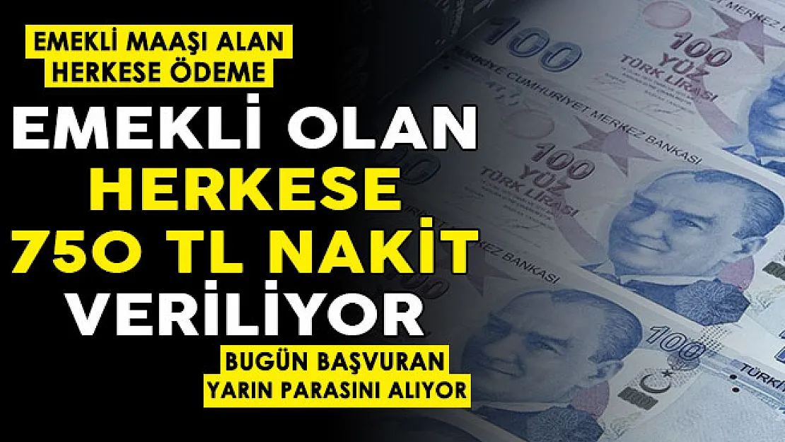Emekli maaşı olan herkese 750 TL nakit para veriliyor! Bugün başvuran yarın parasını alıyor