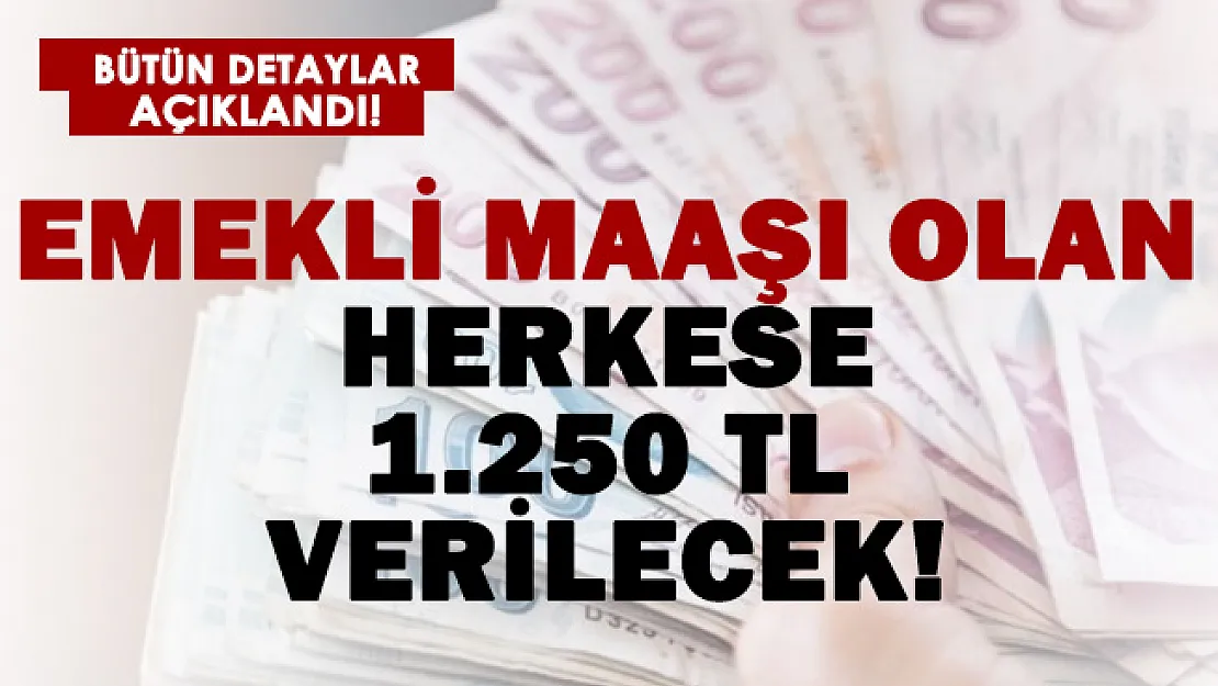 Emekli maaşı olan herkese en az 1.250 TL verilecek!