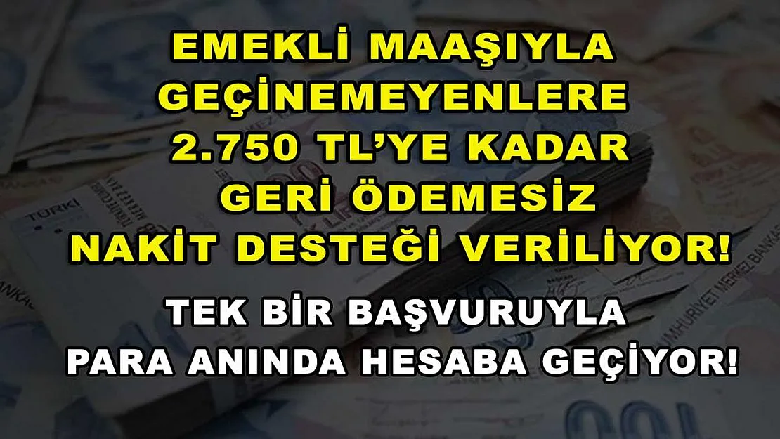 Emekli maaşıyla geçinemeyenlere 2.750 TL'ye kadar geri ödemesiz nakit desteği veriliyor! Tek bir başvuruyla para anında hesaba geçiyor!