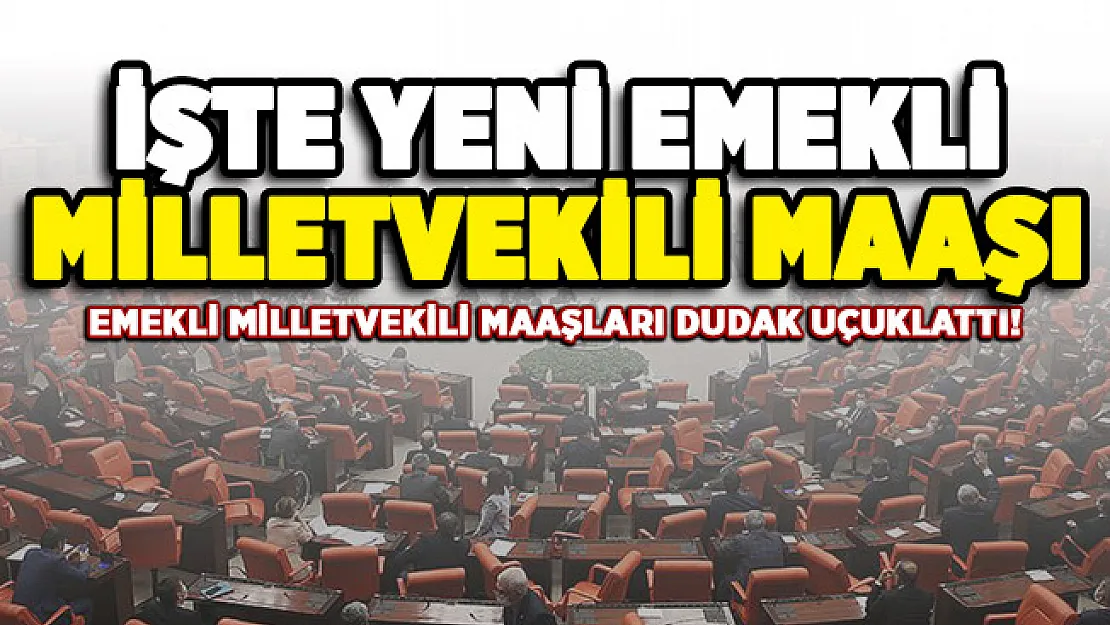 Emekli Milletvekili için belirlenen maaş dudak uçuklattı