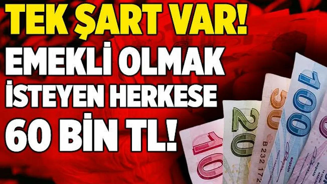 Emekli olmak artık çok daha kolay! Şekerbank emekli olmak isteyenlere tek şartla 60 bin TL kredi veriyor!