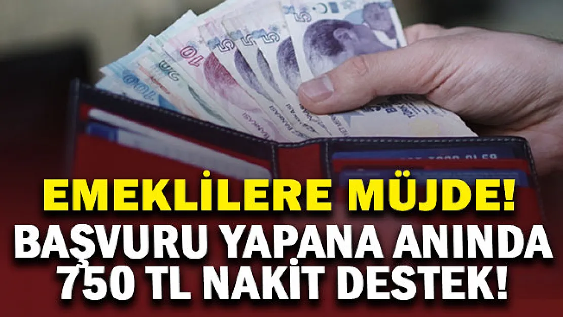 Emeklilere müjdeli haber! Başvuru yapana anında 750 lira nakit destek