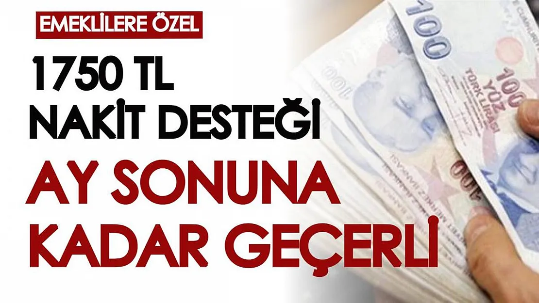 Emekliye geri ödemesiz 1750 TL nakit desteği verilecek! Ay sonuna kadar geçerli...