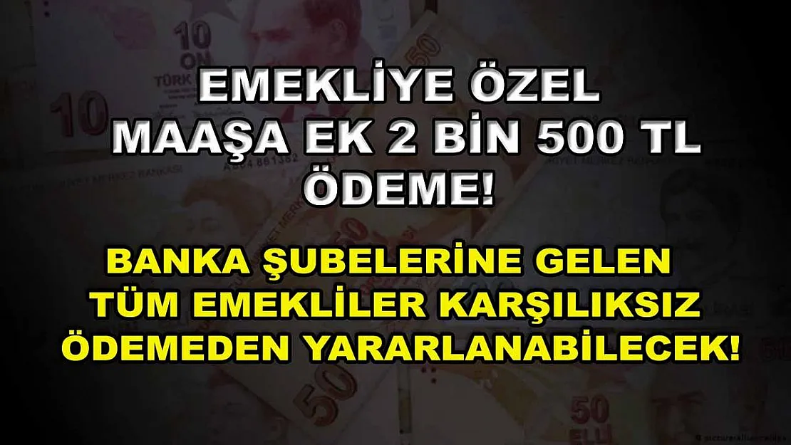 Emekliye özel maaşa ek 2 Bin 500 TL ödeme! Banka şubelerine gelen tüm emekliler karşılıksız ödemeden yararlanabilecek!