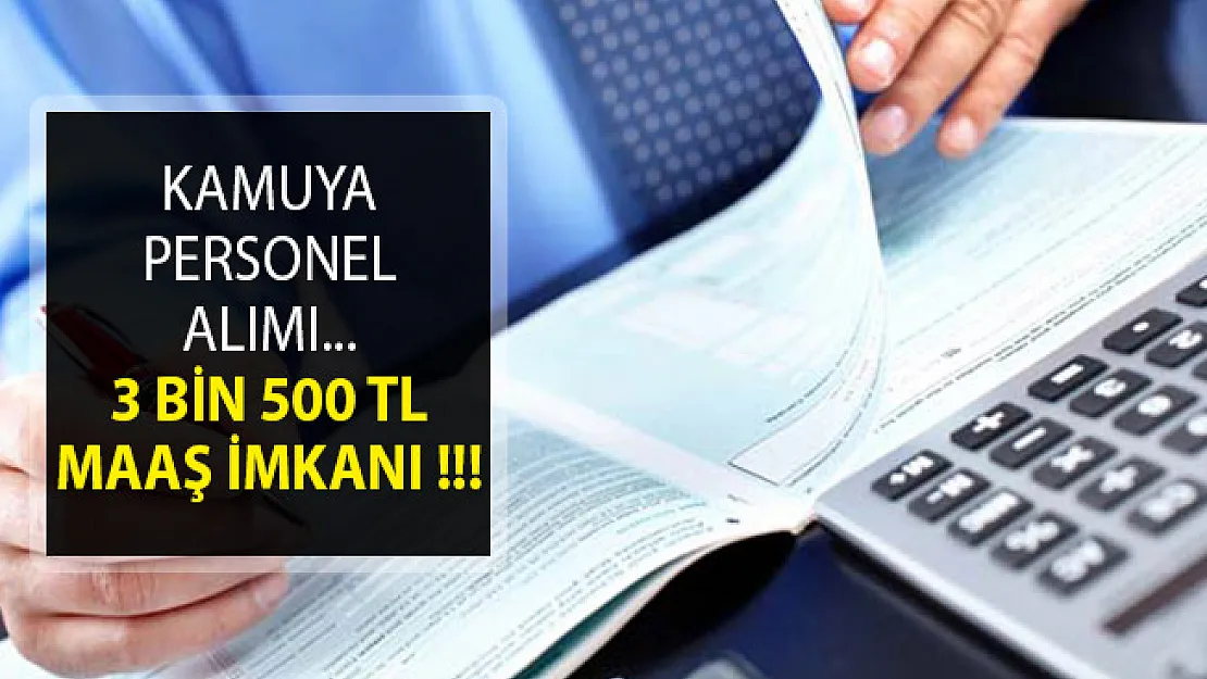 En Az 3 Bin 500 TL Maaş İmkanıyla Kamuya 132 Yeni Personel Alım İlanı Yayımlandı