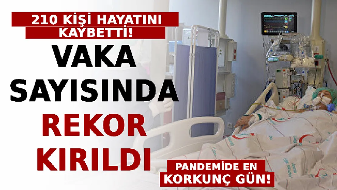 En Korkunç Gün! Vaka Sayısında Rekor Kırıldı! 210 Kişi Hayatını Kaybetti!