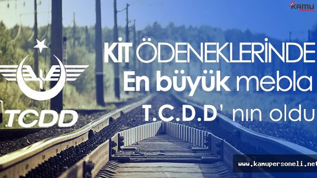 En Yüksek Kit Ödeneği Devlet Demir Yolları' na Verildi