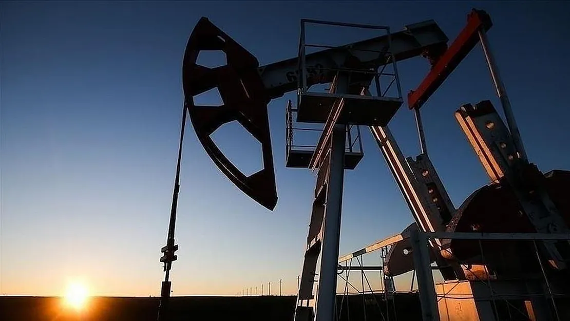 Enerji Bilgi İdaresi ham petrol stoklarının 2,2 milyon varil azaldığını bildirdi