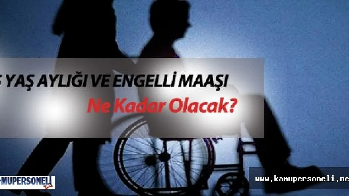 Engelli ve Yaşlı Maaşı Ne Kadar? - Engelli Maaşı ve Yaşlı Aylıkları Artıyor!