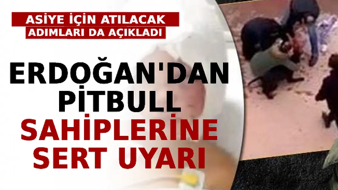 Erdoğan'dan Pitbull Sahiplerine Sert Uyarı: Asiye Ve Babası İçin Atılacak Adımları Da Açıkladı