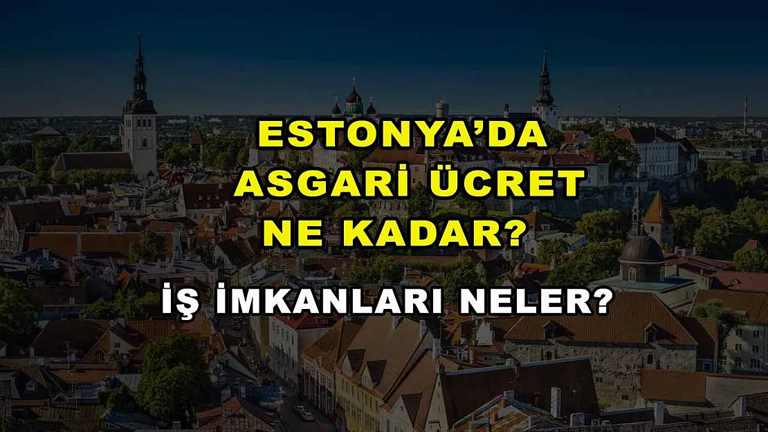 Estonya'da Asgari Ücret Ne Kadar? İş İmkanları Neler?