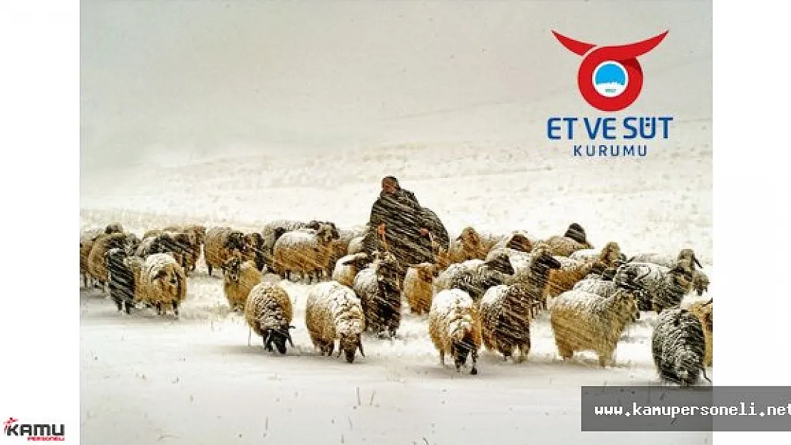 Et ve Süt Kurumu İşçi Personel Alım İlanı 2016