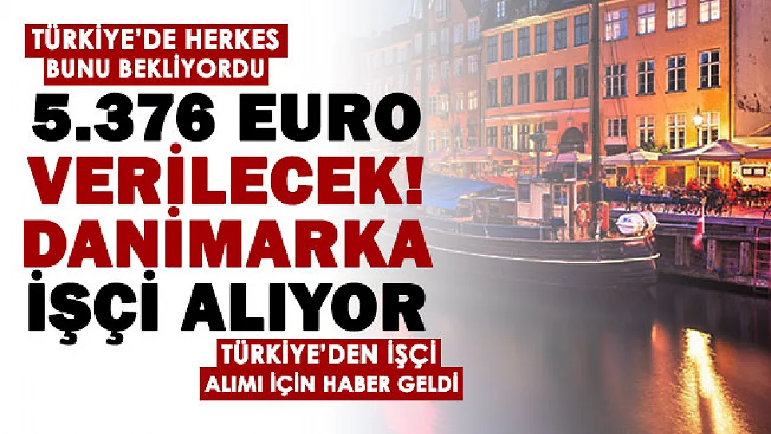 Euro yükselince Danimarka personel alımı dikkat çekti! Danimarka Türkiye'den işçi alıyor: Aylık 5 bin 376 Euro maaş verilecek