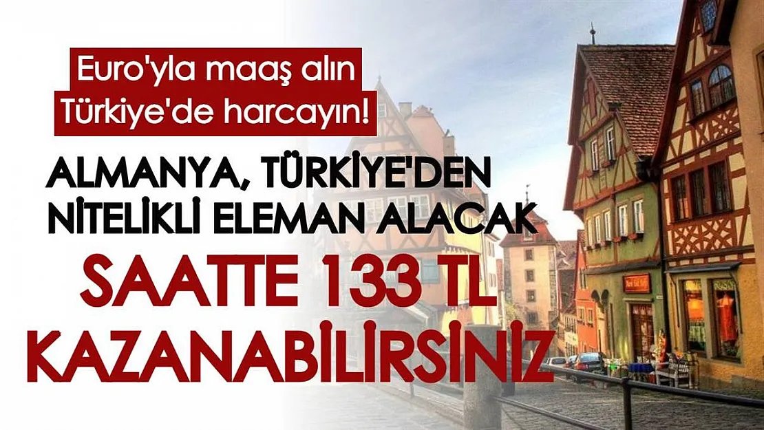 Euro'yla maaş alın, Türkiye'de harcayın: Almanya, Türkiye'den nitelikli eleman alacak, saatlik 9,60 Euro (133 TL) verilecek