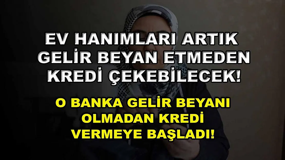 Ev hanımları artık gelir beyan etmeden kredi çekebilecek! O banka gelir beyanı olmadan kredi vermeye başladı!