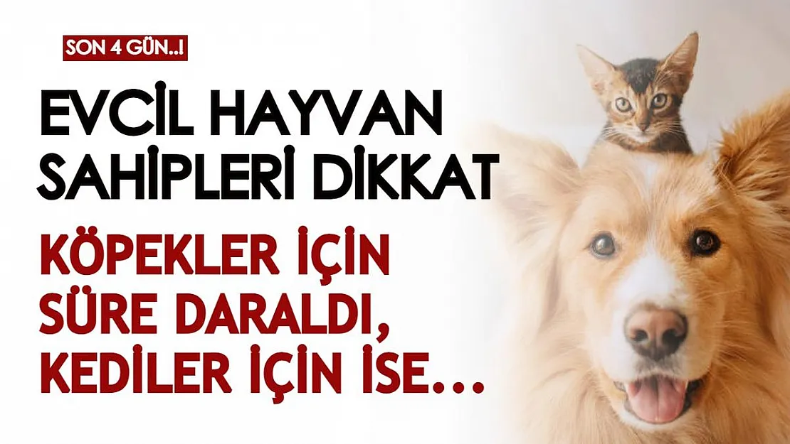 Evcil hayvan sahipleri için son günler! Köpekler için 4 gün sonra bitiyor, kediler için 1 sene daha süresi var