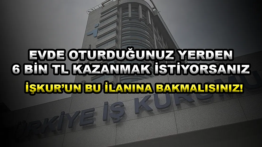Evde oturduğunuz yerden 6 bin TL kazanmak istiyorsanız İŞKUR'un bu ilanına bakmalısınız!