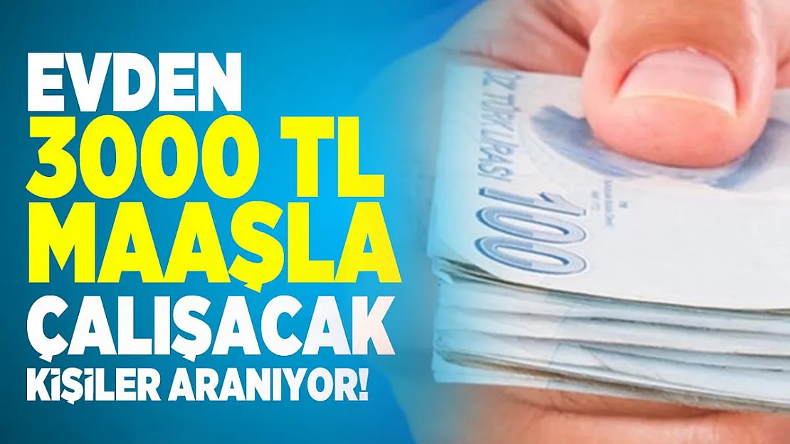 Evden 3000 TL Maaşla çalışacak kişiler aranıyor!