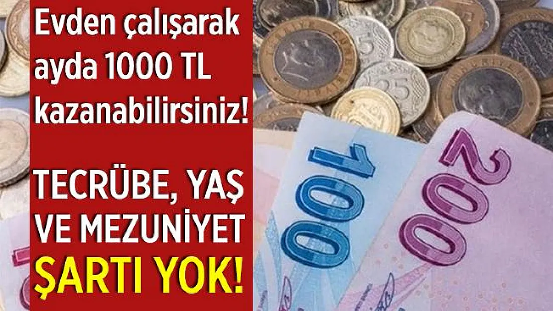 Evden çalışarak ayda 1000 TL kazanabilirsiniz! Tecrübe şartı da yok!