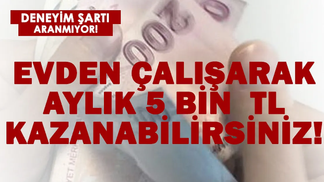 Evden çıkmadan aylık 5 bin TL kazanabilirsiniz! Deneyim şartı aranmıyor!
