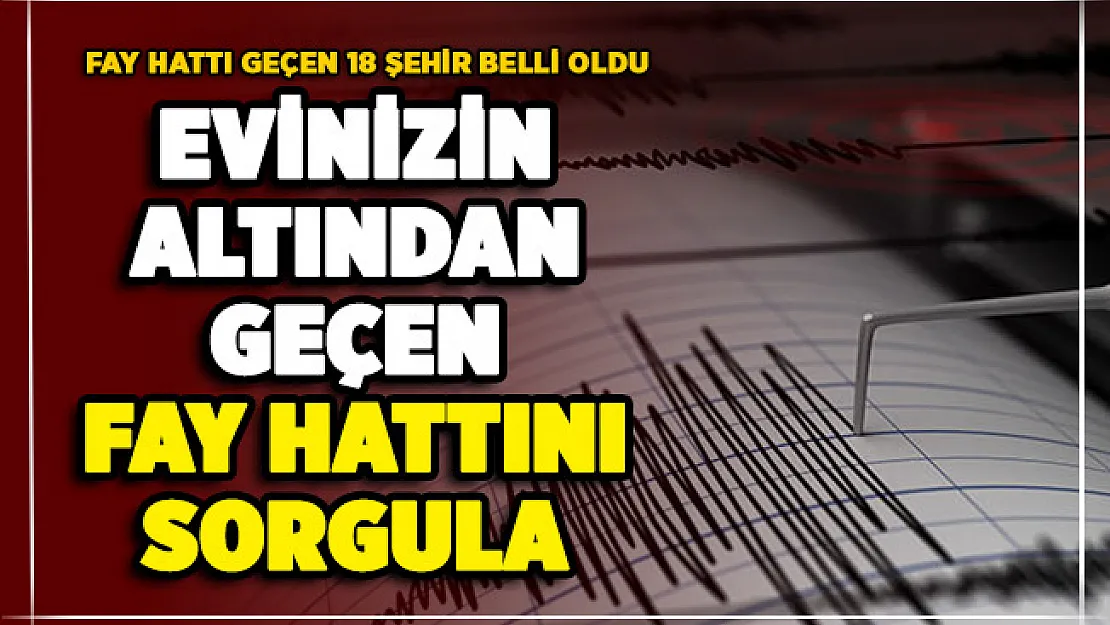 Evimin altından fay hattı geçiyor mu? İşte sorgulama ekranı: Bu 18 şehrin altından fay hattı geçiyor