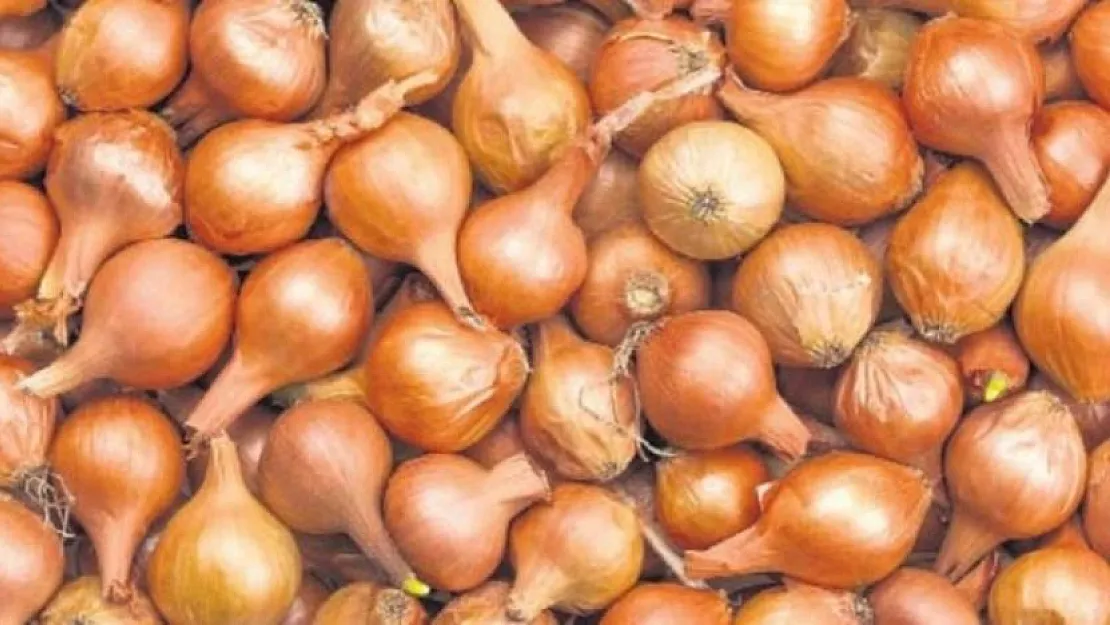 Evine kuru soğan alanlar dikkat! Tarım Bakanlığı'ndan kuru soğan açıklaması geldi: Kilosu 30 TL olmuştu